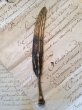 画像1: フランス　アンティーク　鳥の羽根　ペーパーナイフ　シール（印章） (1)