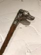 画像1: 猟犬のアンティークステッキ　Antiques Stick (1)
